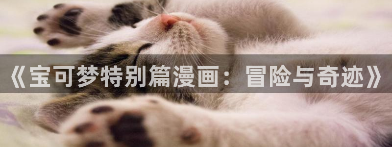 香蕉漫画免费阅读漫画网下拉式：《宝可梦特别篇漫画：冒险与奇迹》