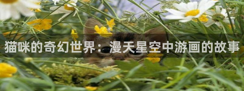 香蕉漫画库：猫咪的奇幻世界：漫天星空中游画的故事
