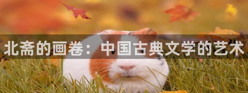 香蕉漫画观看：北斋的画卷：中国古典文学的艺术