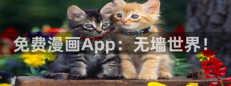 香蕉文化免费看全部漫画