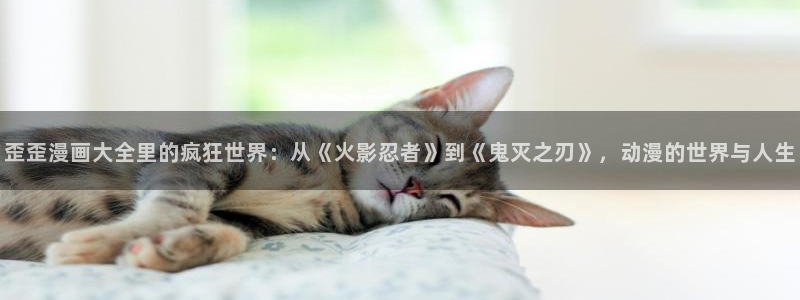 香蕉漫画免费阅读漫画网下拉式