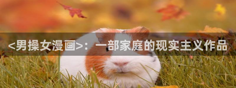 香蕉文化漫画书免费阅读平台网页