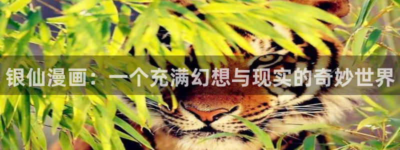 香蕉漫画书下拉式免费阅读