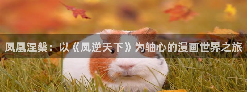香蕉小说漫画